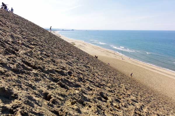 鳥取砂丘の海岸側の傾斜はキツイです