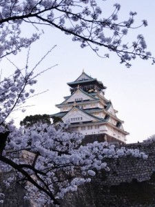 大阪城の桜（花見）