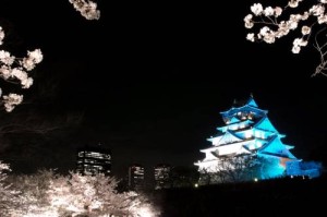 大阪城　夜桜ライトアップ