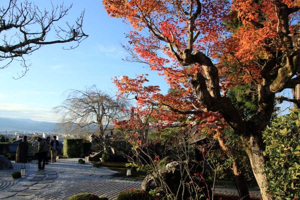 圓光寺の十牛の庭からは京都市内が一望できます。
