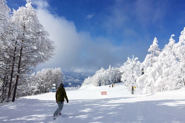 青空の下で滑るスキーは最高!