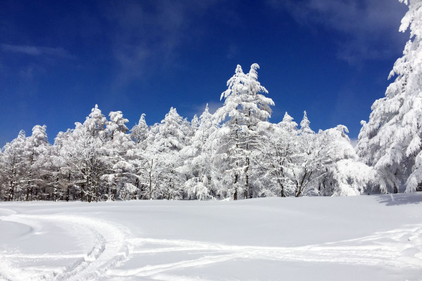 新雪と青空の風景に癒される