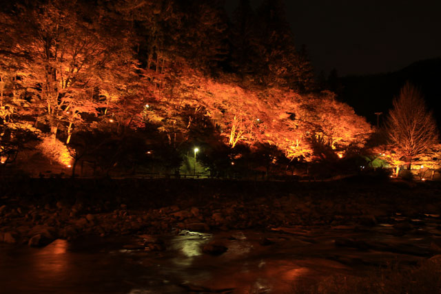 香嵐渓の紅葉ライトアップ