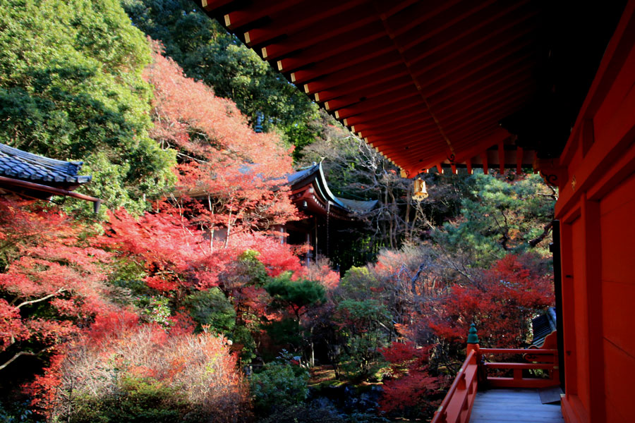 毘沙門堂の紅葉（京都）