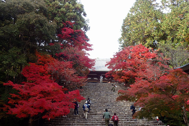 京都 高雄（神護寺）の紅葉
