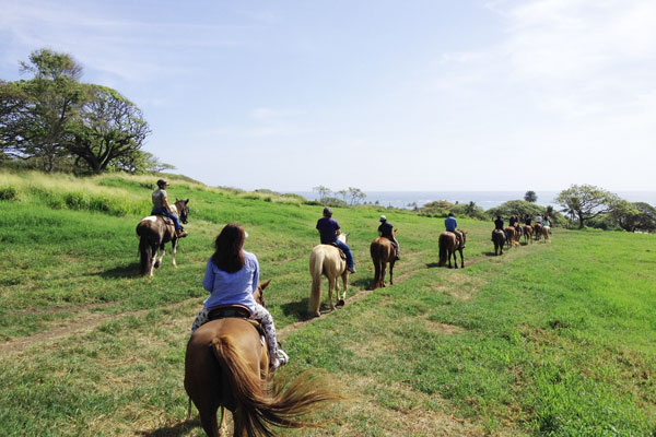 ハワイ　クアロア・ランチ（クアロア牧場）の乗馬、カネオヘ湾クルーズの体験記