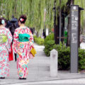 京都の着物散歩どこに行けばいい？おすすめの観光スポットと着物レンタル店